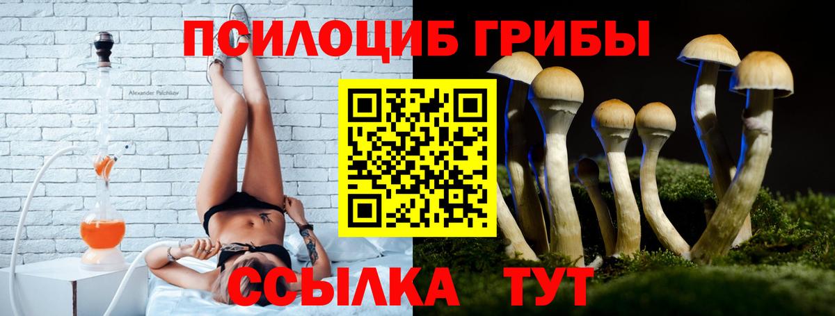 Реж  Галлюциногенные грибы MAGIC MUSHROOMS  наркотики  Вход с VPN 